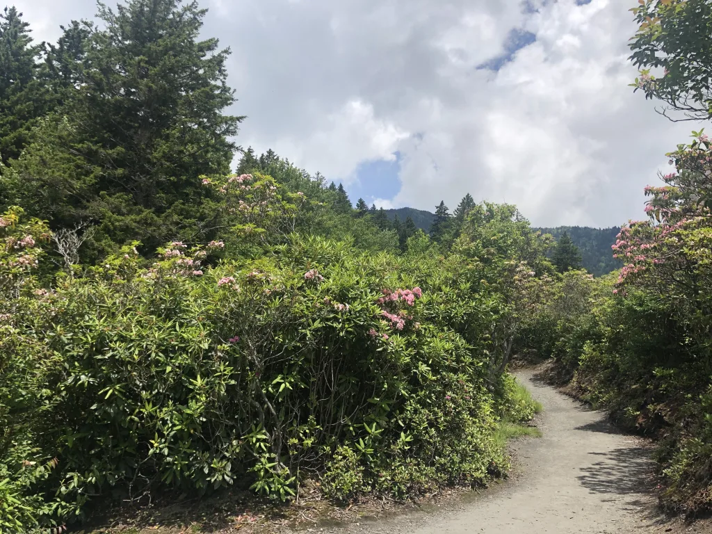 thru-hiking